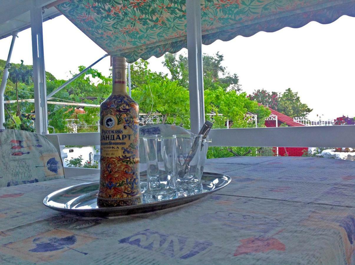 Villa Fofo - Beautiful Sea Front Villa With 650M2 Garden Nea Kallikrateia ภายนอก รูปภาพ